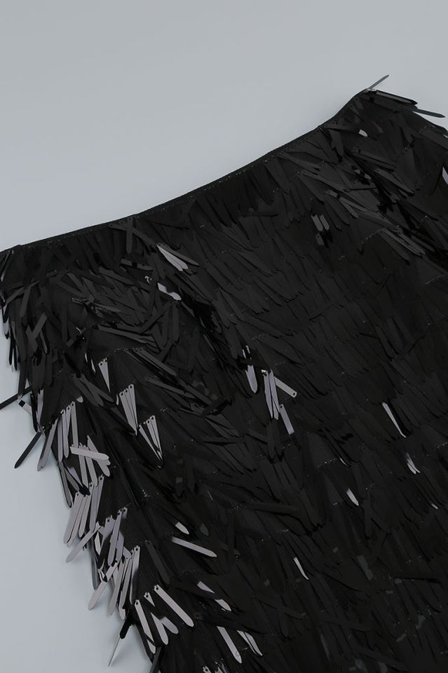 Aleyna Feather Top + Sequin Skirt Set