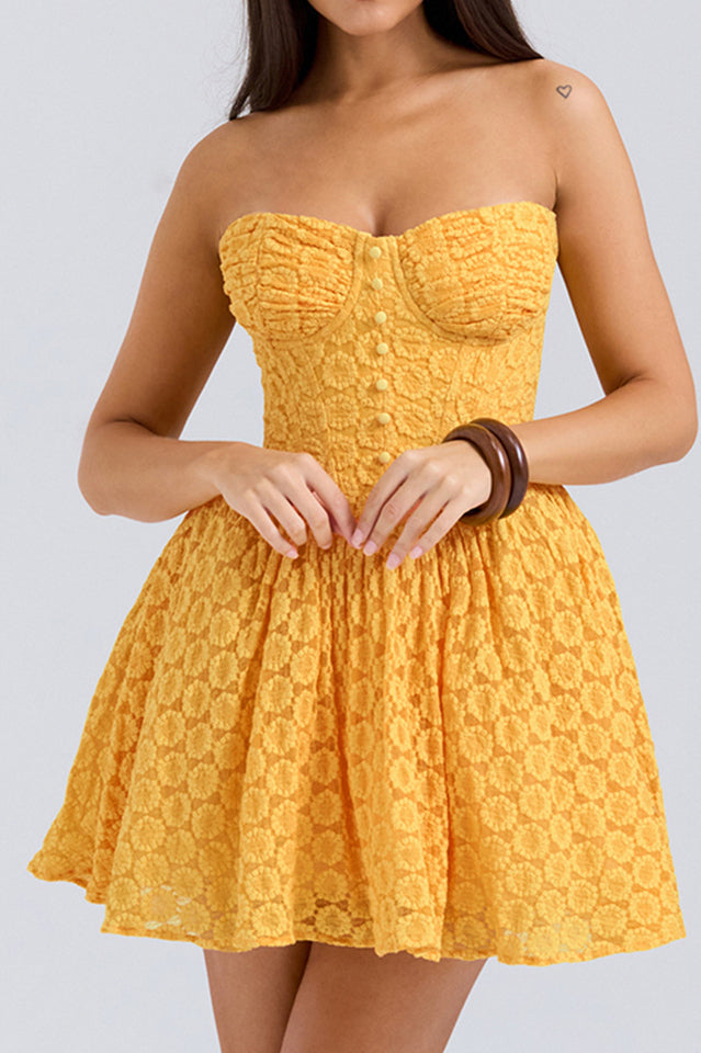 Carolina Apricot Lace Corset Mini Dress