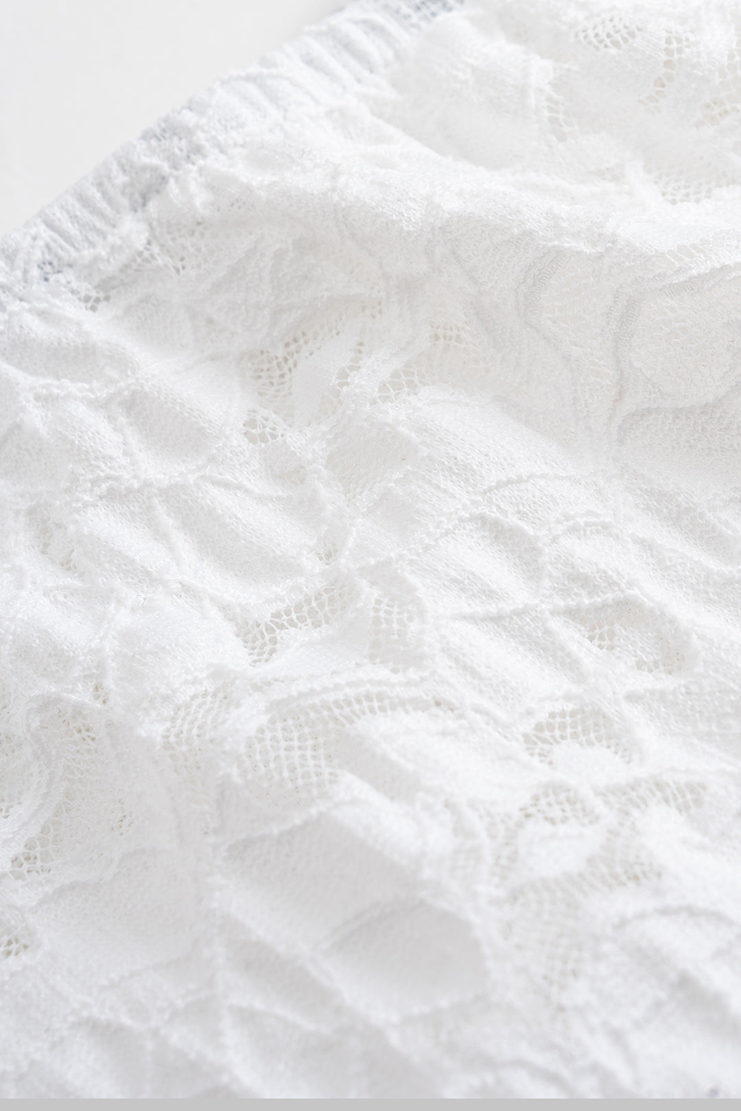 Sheer Lace High Waist Skirt