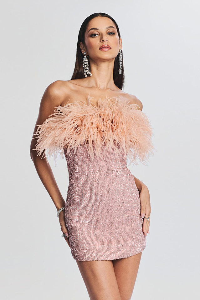 Torin Sequin Feather Dress