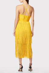 Dayn Sleeveless Tassel Slim Mini Dress