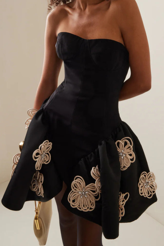 Leona Floral Applique Corset Mini Dress