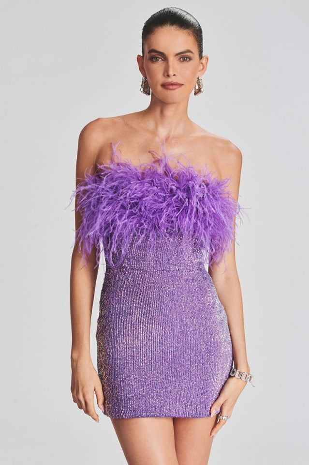 Torin Sequin Feather Dress