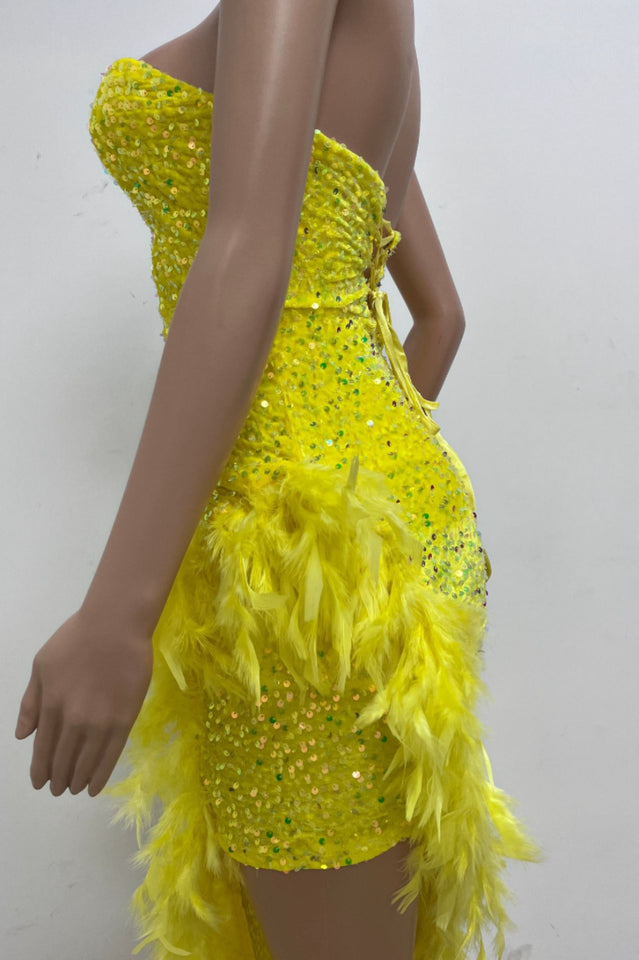 Sequin Feather Trimmed Dress