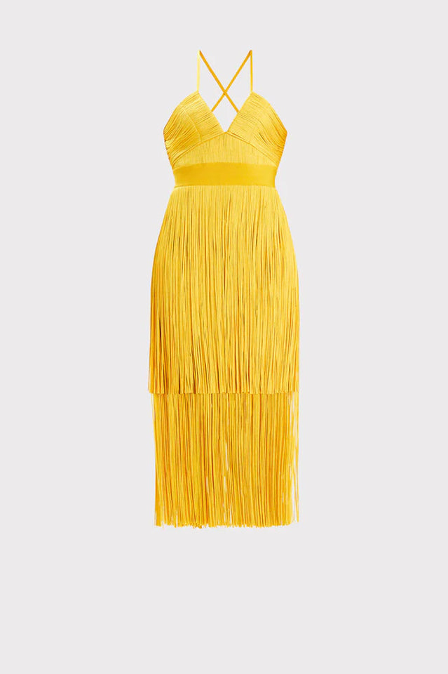 Dayn Sleeveless Tassel Slim Mini Dress