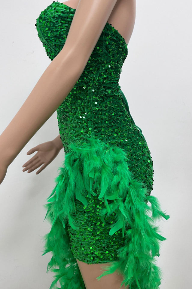 Sequin Feather Trimmed Dress