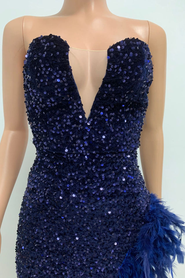 Sequin Feather Trimmed Dress