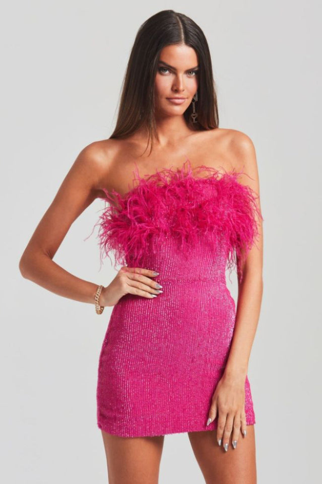 Torin Sequin Feather Dress