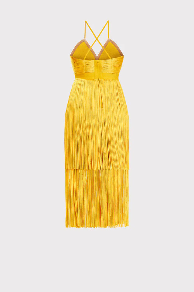 Dayn Sleeveless Tassel Slim Mini Dress