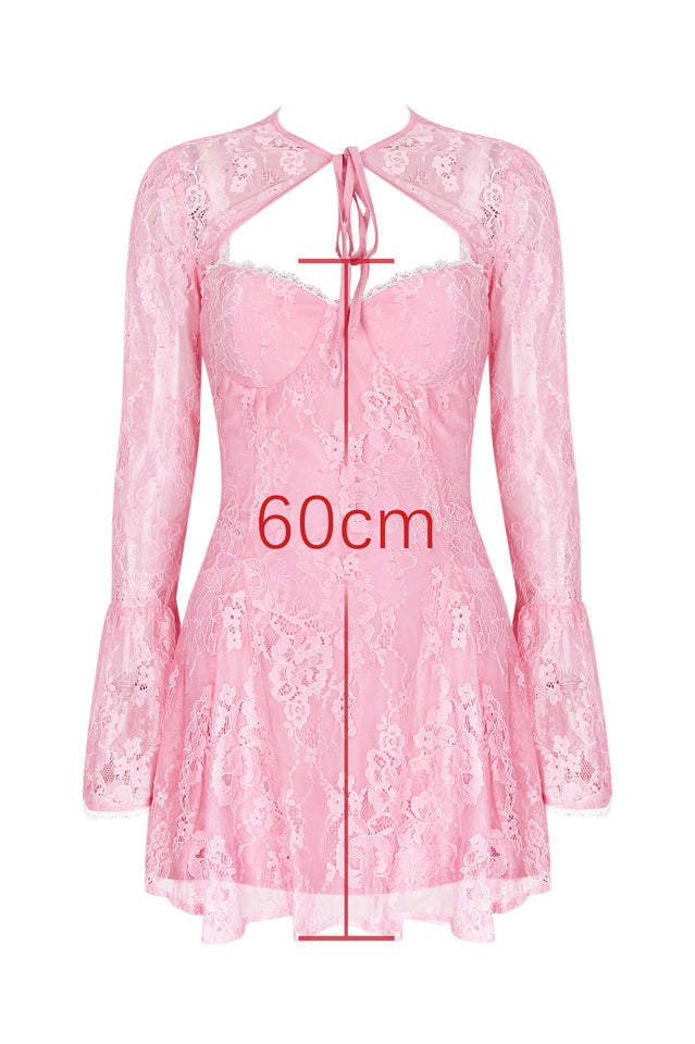 Alice Pink Lace Mini Dress