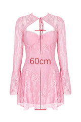 Alice Pink Lace Mini Dress