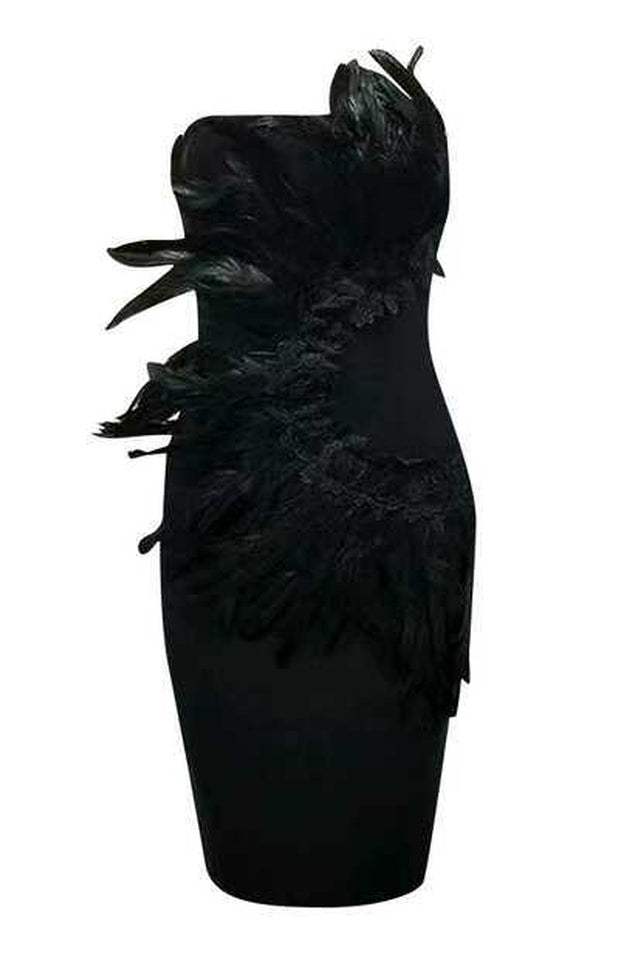 HESTER Feathers Dress