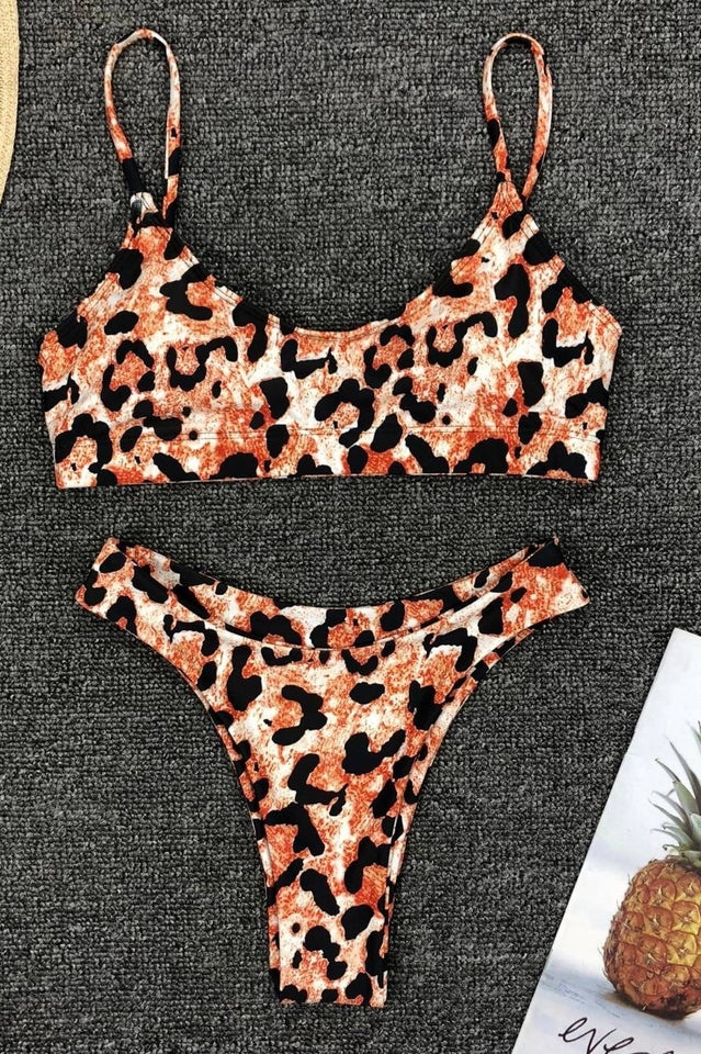 Leopard Print Bikini Set (Multicolor)