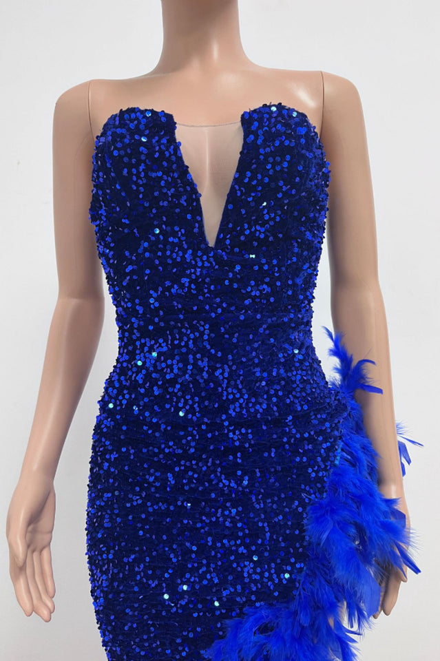 Sequin Feather Trimmed Dress