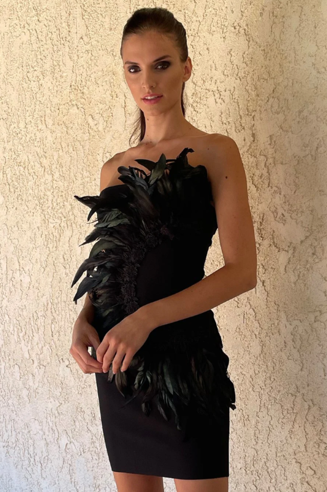 HESTER Feathers Dress