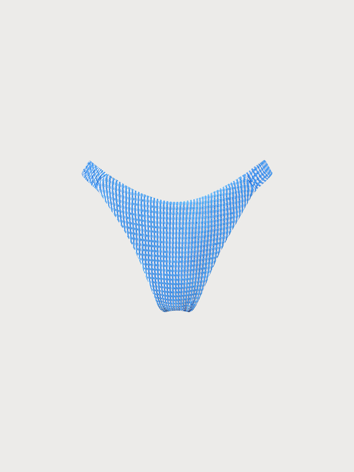 Blue Textured Striped Bikini Bottom